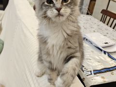 -宁波杉井奥特莱斯广场