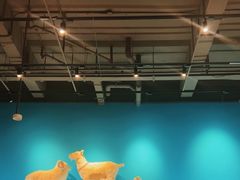 -大白羊蝎子馆(后沙峪山姆店)