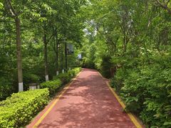 -西安汉城湖景区