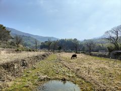 -塔川景区