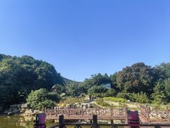 -北京西山国家森林公园