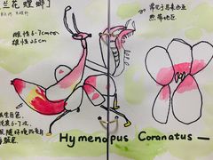 -白鹿艺术美学工作室 1 画室(MOMA校区)