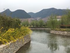 -灵山莲花公园-温泉度假区