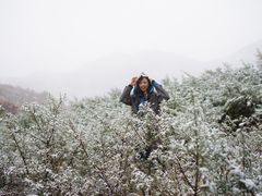 -灵山
