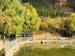 -双新垂钓园