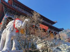 -九华山风景区