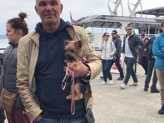 -阿尔卡特拉斯岛