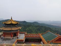 -老三羊汤【北兴隆街店】