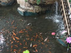 -森谷美食公园(杨行店)