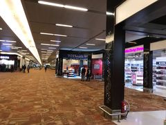 -英迪拉·甘地国际机场