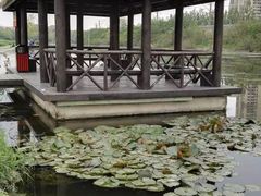 -前关湿地公园