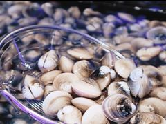 -韩京炭火烤肉自助料理(柯桥万达店)