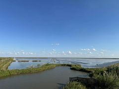 -盐城丹顶鹤湿地生态旅游区