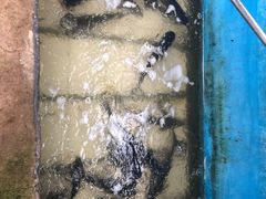 -姥家大锅台水库渔家