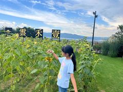 -云禾壹海景庄园餐厅