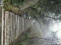 android_upload_pic-大罗山风景区