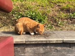 -清心素食自助餐厅(夫子庙店)