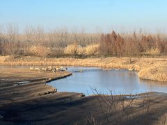 -溱湖国家湿地公园