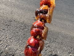 -糖葫芦王保定名吃(古莲花池店)