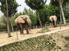 -石家庄市动物园