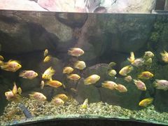 -苏州海洋馆