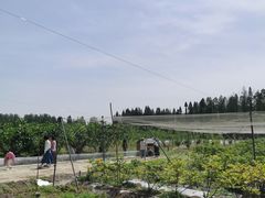 -武汉世外桃源农庄