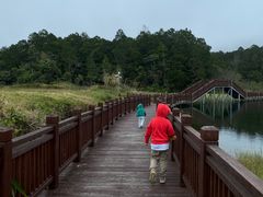 -海南热带雨林国家公园吊罗山景区