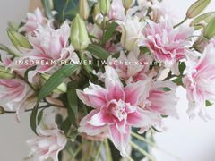 花材展示-INSDREAM FLOWER 鲜花预定·花艺培训
