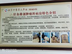 -北京中医药大学第三附属医院