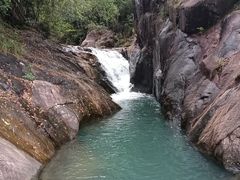 -广州白江湖森林公园