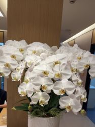 -Yestar杭州艺星医疗美容医院