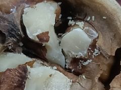 -大润发(勤业店)