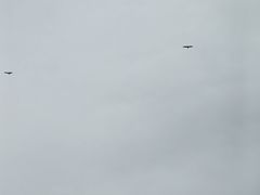 -平湖九龙山旅游度假区