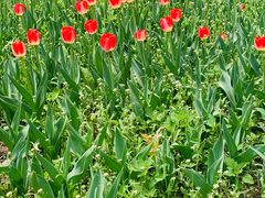 -长春公园(普阳街道)