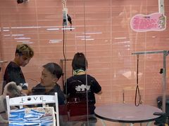 -FAELING PETS美天灵宠物(合生汇店)