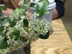 用心的插花-扫雪煮茶(西村店)