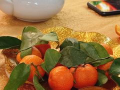 -新合益乡村农庄