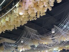 -金筷子·喜事汇