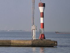 -上海吴淞炮台湾国家湿地公园