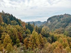 -山王坪喀斯特国家生态公园