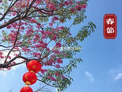 -东莞植物园