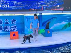 -成都浩海立方海洋公园