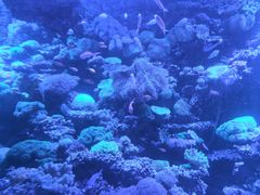 -太平洋海底世界