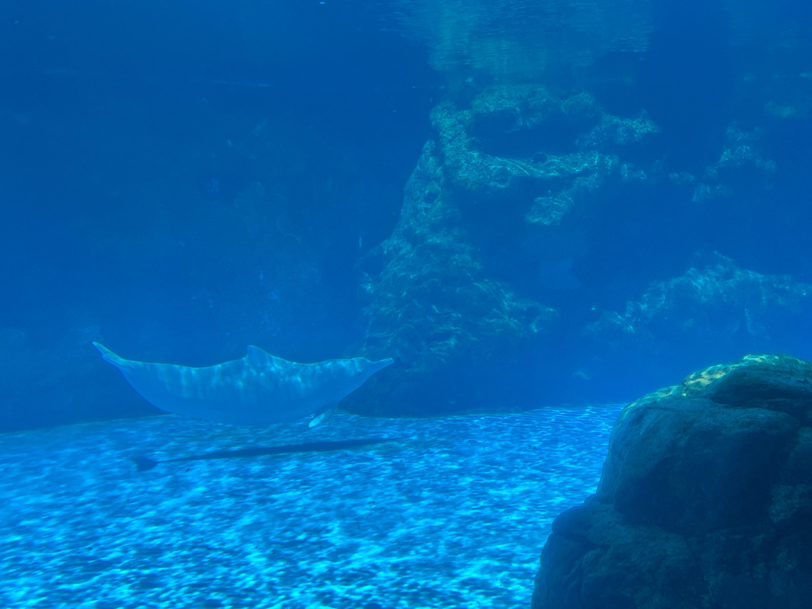 奇幻海底探险行