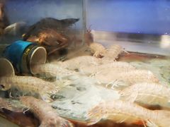 -V-ONE西雅图海鲜自助餐厅(仓山万达广场店)