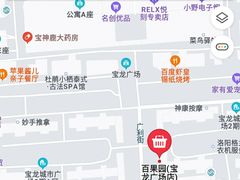 -百果园(宝龙广场店)
