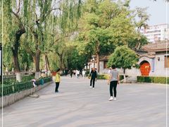 -文瀛公园