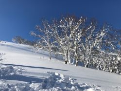 -大秃顶子山