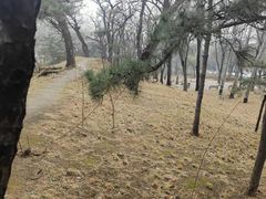 -元大都城垣遗址公园