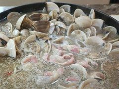 -顺德哥卜卜贝(旗舰店)